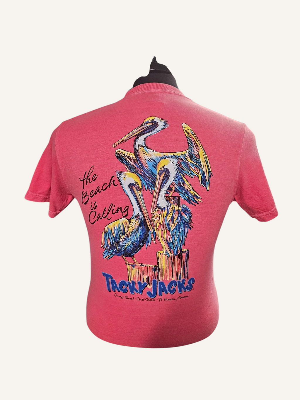 Tacky Jacks "3 Pelicans Perch" Short Sleeve T-Shirt