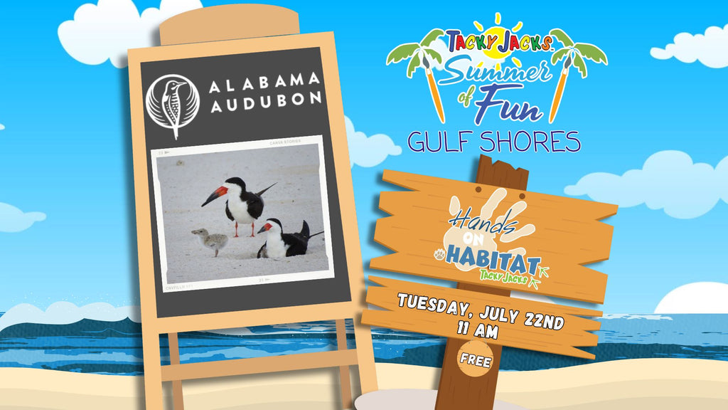 July 22, (Gulf Shores) Hands-on Habitat with Alabama Audubon - FREE