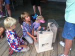 June 16,  (Gulf Shores) Hands-on Habitat with Share the Beach Sea Turtle Program