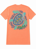SWIRLY TURTLE