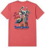 3 PELICANS PERCH